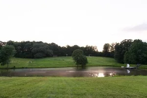 A serene landscape with a small pond reflecting the sky, surrounded by lush green grass and a few trees. A wooded area in the background is silhouetted against the sky, which is transitioning to dusk.