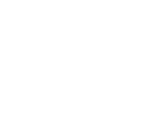 Camp Pitt (logo).